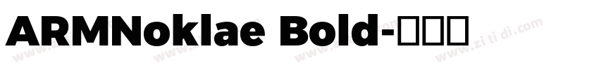 ARMNoklae Bold字体转换 ARMNoklae Bold字体转换